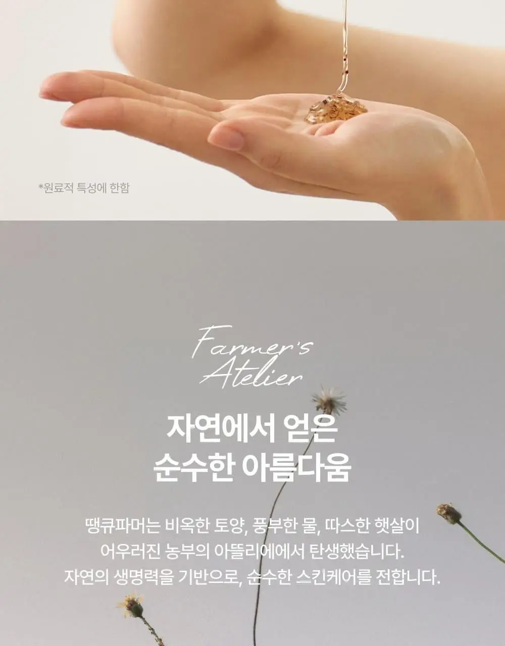 [김진경PICK/화해1위] 땡큐파머 피토 릴리풀 시카 약산성 젤클렌저 120ml 상세페이지 31